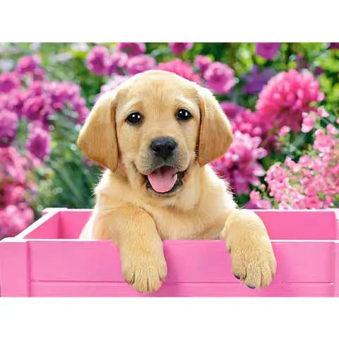 Diamond Painting Chien | My Diamond Painting