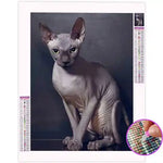 Broderie Diamant Chat Sphynx | My Diamond Painting
