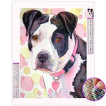 Broderie Diamant Amstaff - Vignette | My Diamond Painting