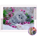 Broderie Diamant Bébé Chat - Vignette | My Diamond Painting