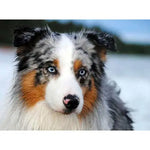 Broderie Diamant Berger Australien - Vignette | My Diamond Painting