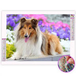 Broderie Diamant Berger Écossais - Vignette | My Diamond Painting