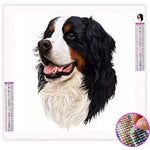 Broderie Diamant Bouvier Bernois - Vignette | My Diamond Painting