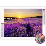 Broderie Diamant Champ de Lavande - Vignette | My Diamond Painting