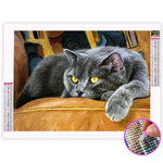 Broderie Diamant Chat Chartreux | My Diamond Painting