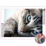 Broderie Diamant Chat Gris | My Diamond Painting