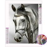Broderie Diamant Cheval Gris - Vignette | My Diamond Painting