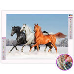 Broderie Diamant Chevaux Noir Blanc Marron - Vignette | My Diamond Painting