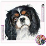 Broderie Diamant King Charles - Vignette | My Diamond Painting