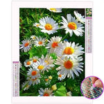 Broderie Diamant Marguerite - Vignette | My Diamond Painting