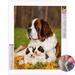Broderie Diamant Saint Bernard - Vignette | My Diamond Painting