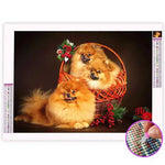 Broderie Diamant Spitz Nain - Vignette | My Diamond Painting