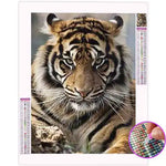 Broderie Diamant Tête de Tigre - Vignette | My Diamond Painting