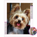 Broderie Diamant Yorkshire - Vignette | My Diamond Painting