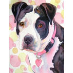 Broderie Diamant Amstaff - Vignette | My Diamond Painting