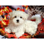 Broderie Diamant Bichon Maltais - Vignette | My Diamond Painting