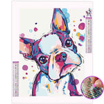 Broderie Diamant Bouledogue - Vignette | My Diamond Painting