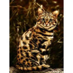 Broderie Diamant Chat Bengal - Vignette | My Diamond Painting