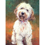 Broderie Diamant Chien Griffon - Vignette | My Diamond Painting
