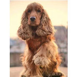 Broderie Diamant Cocker - Vignette | My Diamond Painting