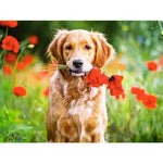 Broderie Diamant Golden Retriever - Vignette | My Diamond Painting