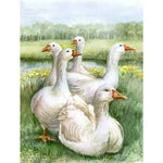Broderie Diamant Oies - Vignette | My Diamond Painting