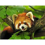 Broderie Diamant Panda Roux - Vignette | My Diamond Painting