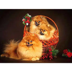 Broderie Diamant Spitz Nain - Vignette | My Diamond Painting