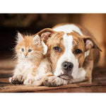 Broderie Diamant Staff - Vignette | My Diamond Painting