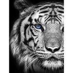 Broderie Diamant Tigre Noir et Blanc - Vignette | My Diamond Painting