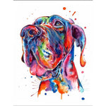 Broderie Diamant Dogue Allemand - Vignette | My Diamond Painting