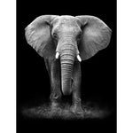 Broderie Diamant Éléphant Noir et Blanc - Vignette | My Diamond Painting