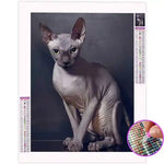 Broderie Diamant Chat Sphynx - Vignette | My Diamond Painting