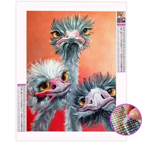 Diamond Painting Autruche | My Diamond Painting