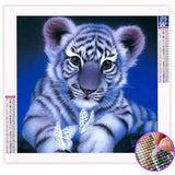 Broderie Diamant Bébé Tigre | My Diamond Painting