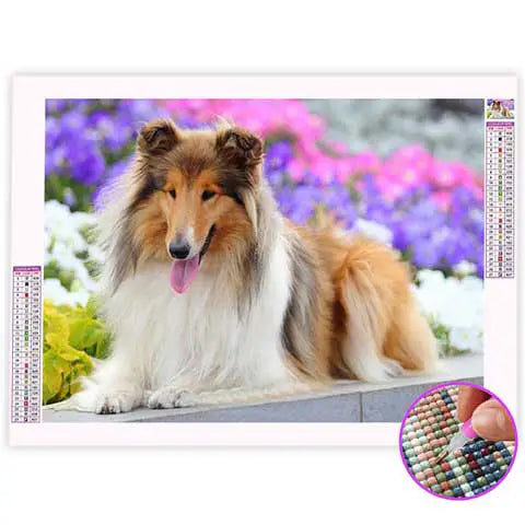 Broderie Diamant Berger Écossais | My Diamond Painting