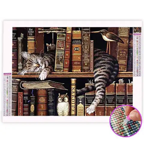 Broderie Diamant Bibliothèque Chat | My Diamond Painting