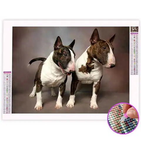 Broderie Diamant Bull Terrier | My Diamond Painting