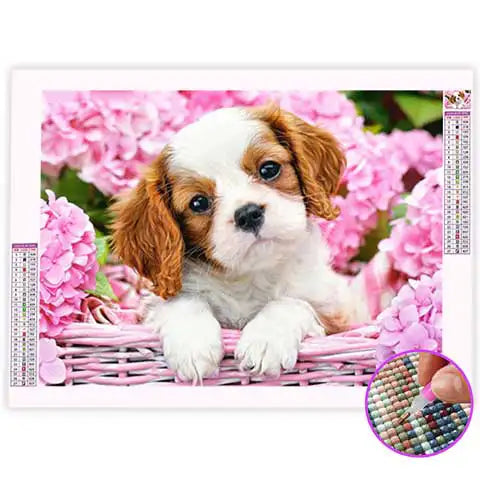Broderie Diamant Cavalier king Charles | My Diamond Painting