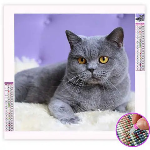Broderie Diamant Chat British | My Diamond Painting