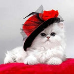Broderie Diamant Chat Persan - Vignette | My Diamond Painting