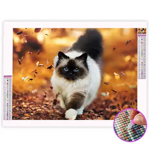 Broderie Diamant Chat Ragdoll | My Diamond Painting
