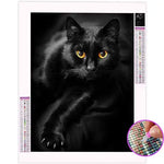 Broderie Diamant Chat dans la Nuit | My Diamond Painting