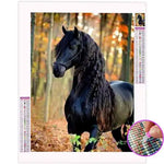 Broderie Diamant Cheval Frison - Vignette | My Diamond Painting