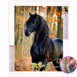 Broderie Diamant Cheval Frison | My Diamond Painting