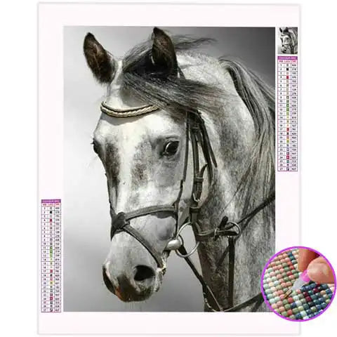 Broderie Diamant Cheval Gris | My Diamond Painting