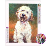 Broderie Diamant Chien Griffon - Vignette | My Diamond Painting