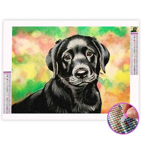 Broderie Diamant Chien Noir | My Diamond Painting