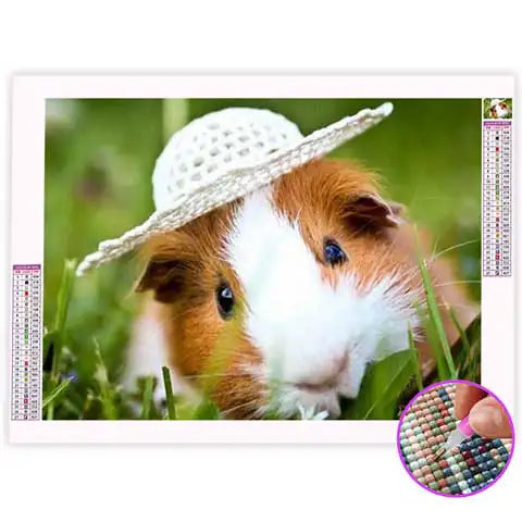 Broderie Diamant Cochon d'Inde| My Diamond Painting