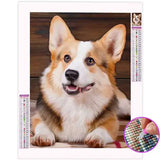 Broderie Diamant Corgi | My Diamond Painting